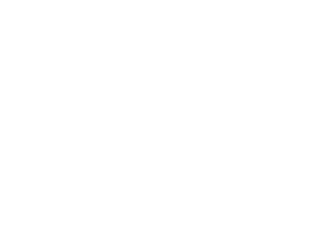logo-teigps-blanco-footer